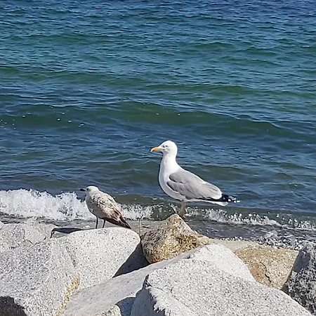 Kuestenklang 브리게